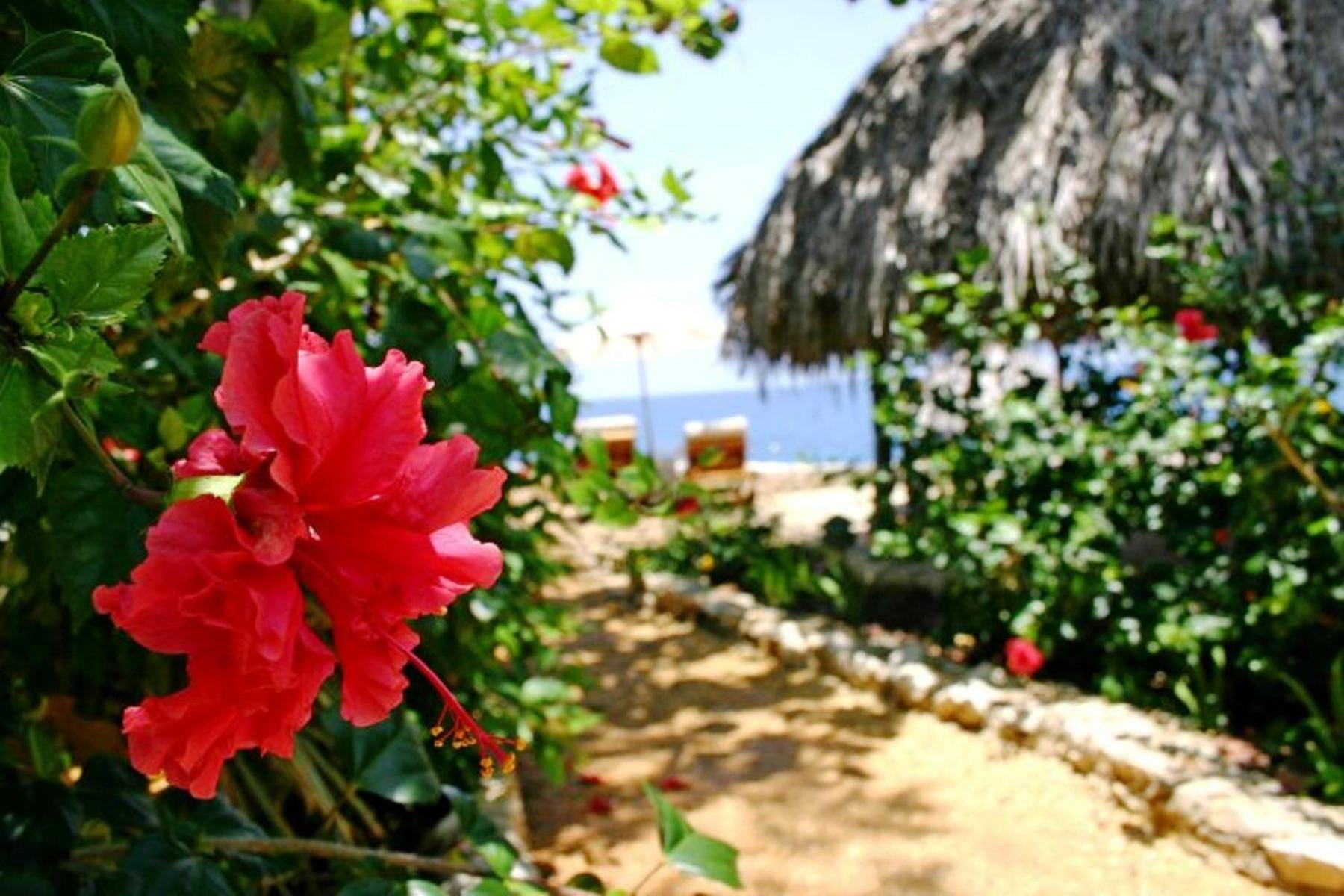 Tensing Pen Negril Dış mekan fotoğraf